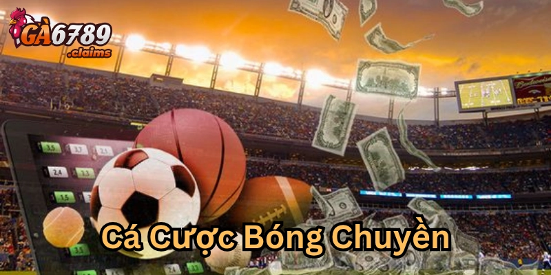 Cá Cược Bóng Chuyền là gì?