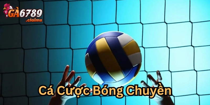Kiểm soát vốn khi tham gia Cá Cược Bóng Chuyền